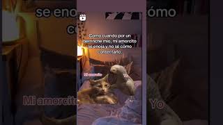 #tutorial #humor #memes #comedia #comentaycomparte #mono #monkey #fypシ #automobile #dúo#reels