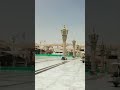 pyare Nabi S.A.W. se mohabbat #shorts #shortvideo #viral #islam