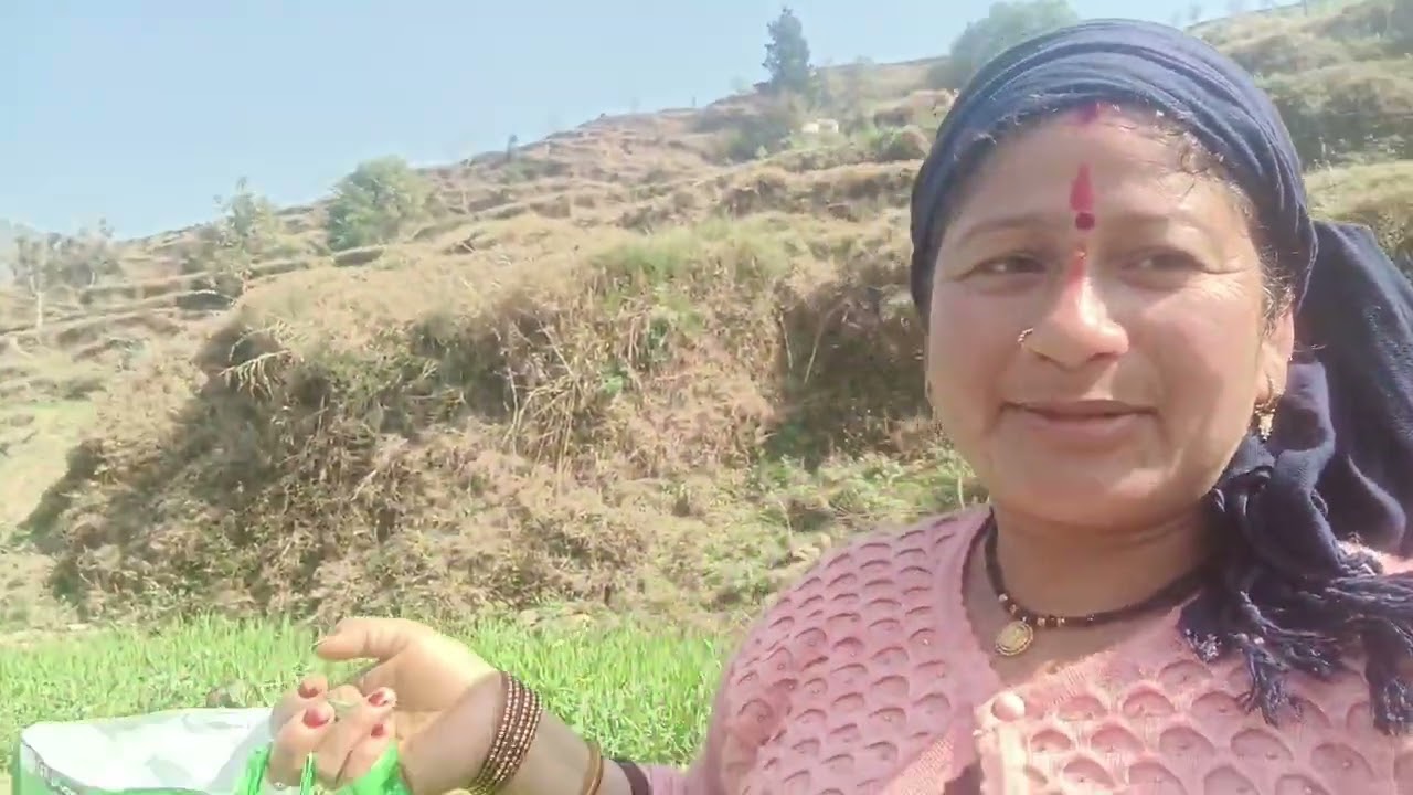 हम 🙏 लोग गए गांव के खेत में ☺️ मटर देखने #पहाड़ी लाइफस्टाइल#