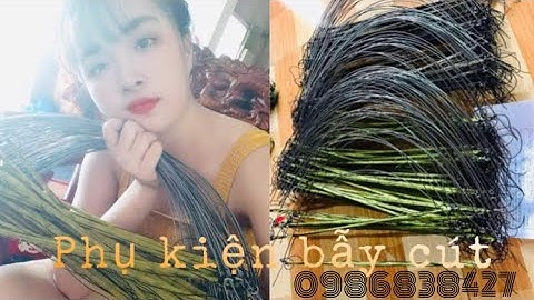 Cung bẫy cút- Hướng dẫn cách sử dụng cung cút. Zalo 0986838427