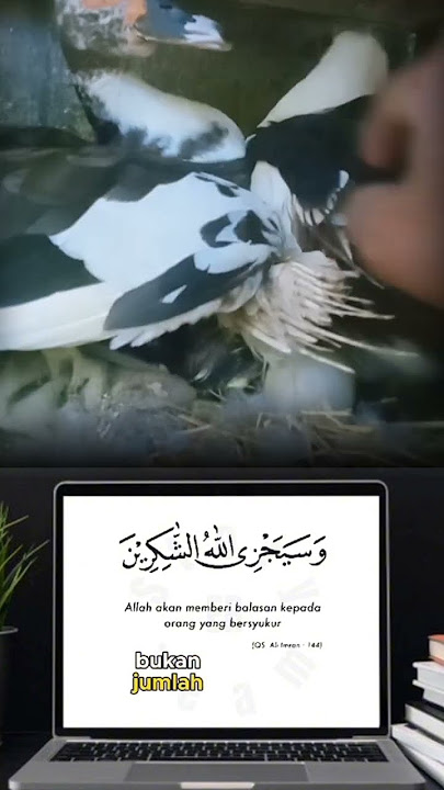 #katakata #motivasi #storywa #masukberanda #pengikut #jangkauanluas #story #automobile #semuaorang