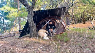 Camping in Heavy Rain, Rainstorm and Strong Winds! • Bad Weather Camping with My Dog