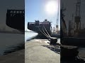 Big Container Ship rope tight in the jetty #shorts #viralshorts #viral