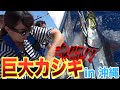 【激闘】釣りライフ史上一番の大物カジキを釣りました！in沖縄【衝撃】