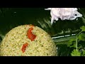 Coriander Rice in Tamil || கொத்தமல்லி சாதம் || coriander pulav in tamil