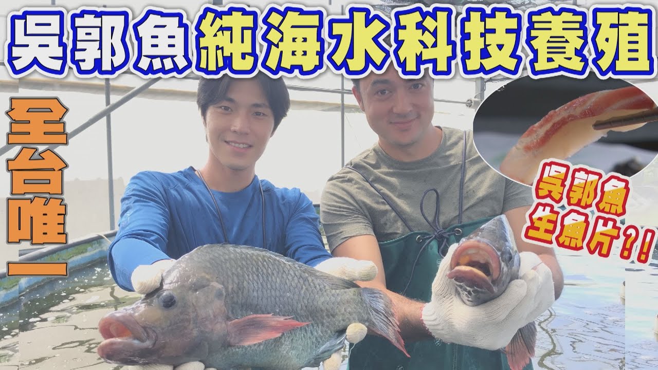 【屏東】全球唯一台灣之光!!純海水科技養殖吳郭魚 現殺生魚片口感絕佳 《世界第一等》1058集 精華版 唐振剛 班傑