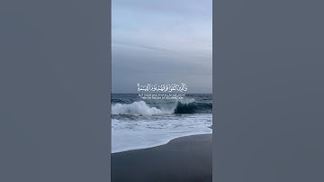 #سورة_البقرة (212) القارئ #ياسر_الدوسري