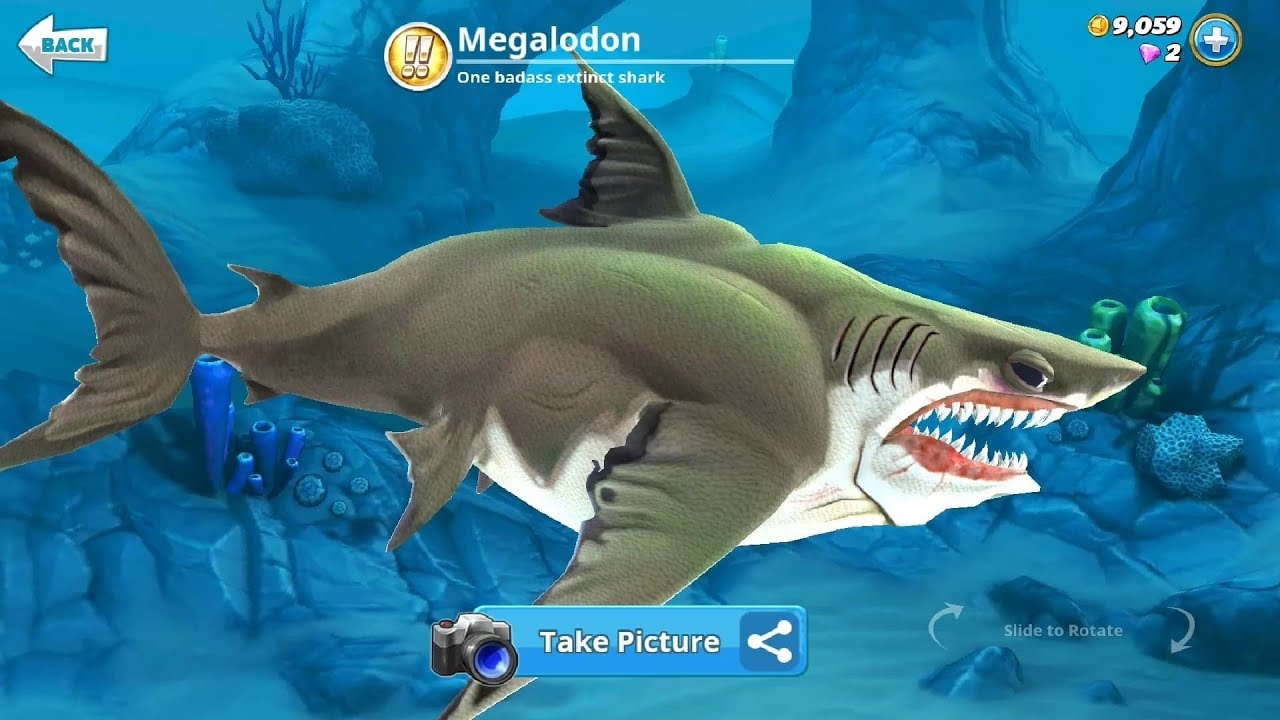 Hungry Shark World New Shark Coming Soon Update Megalodon Unlocked