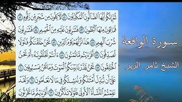 الشيخ ثامر الزير سورة الواقعة