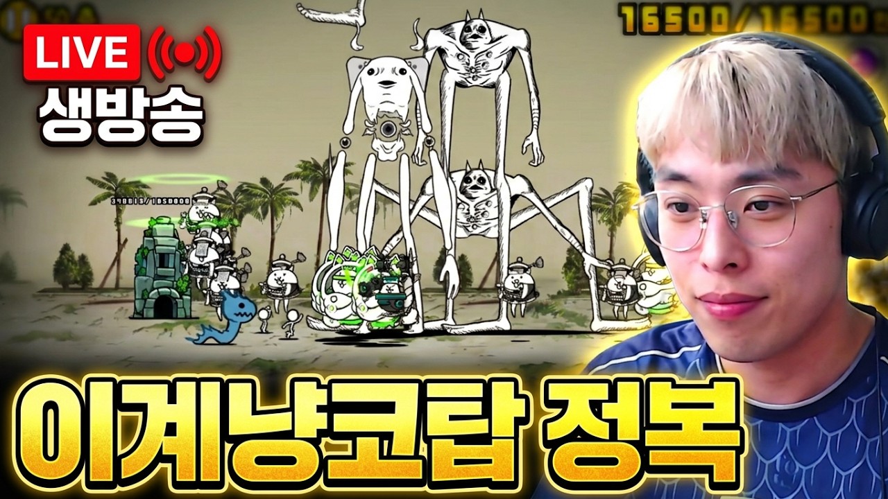밍모 생방송