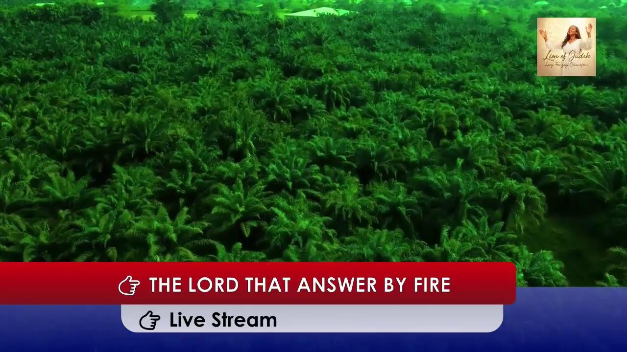 The Lord That Answer by Fire - Lucy