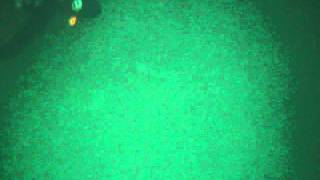 Anne Boyle PortnaBlagh Freediving