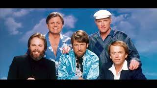 The Beach Boys - Barbara Ann [Remix]