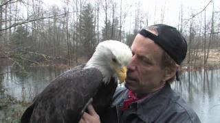 A Visit with Freedom - A rainy day in Arlington, WA