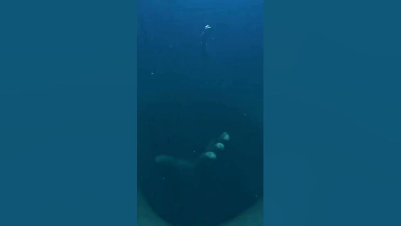 sea phobia فوبيا البحر YouTube