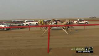  الشوط الثاني مفاريد قعدان أشواط خاصة السبت   