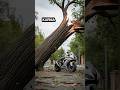 Moments Before a Tree Crushed My New Bike! #shorts #viral