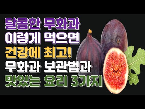 제철 무화과 제대로 즐기는 법! 건강 효능, 보관법, 활용 레시피 BEST 3. Figs and cooking