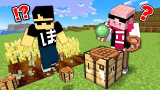 【マイクラ】すべてがデタラメになった世界でエンドラ討伐！