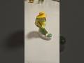 tortoise and turtle collection #Kame no Yakata@aguri