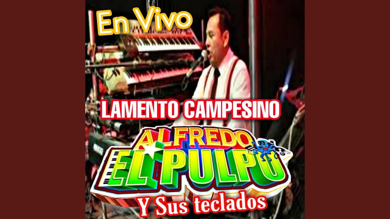Pop Charranga Modernista (En Vivo) YouTube
