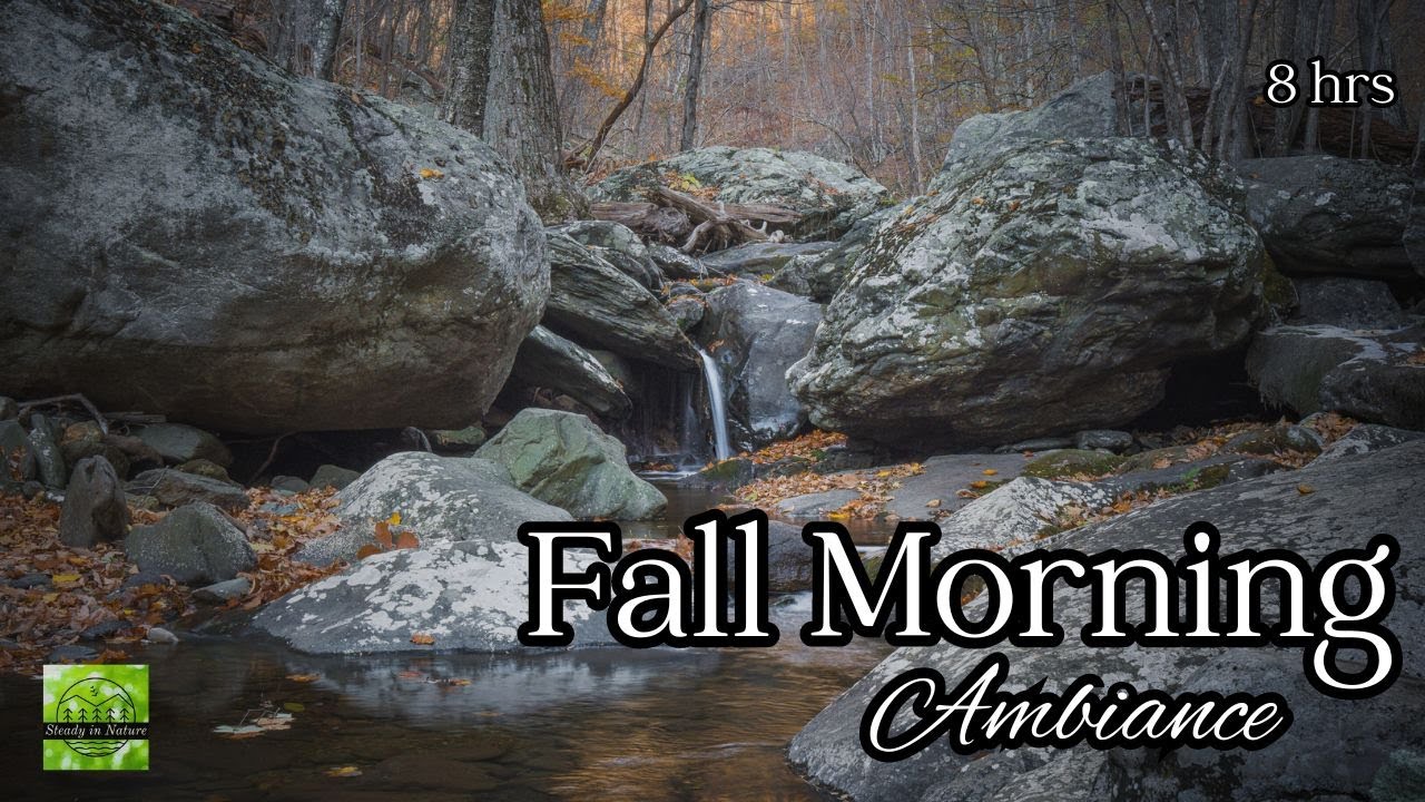 Crisp FALL MORNING Ambiance Flowing Stream Sounds Sleep Study