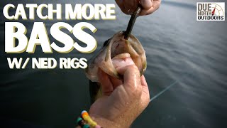 VMC Ned Rig Jigs