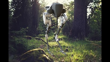 Cassie - See you soon