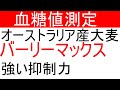 【血糖値】バーリーマックスと白米で血糖値測定！オーストラリア政府開発の大麦