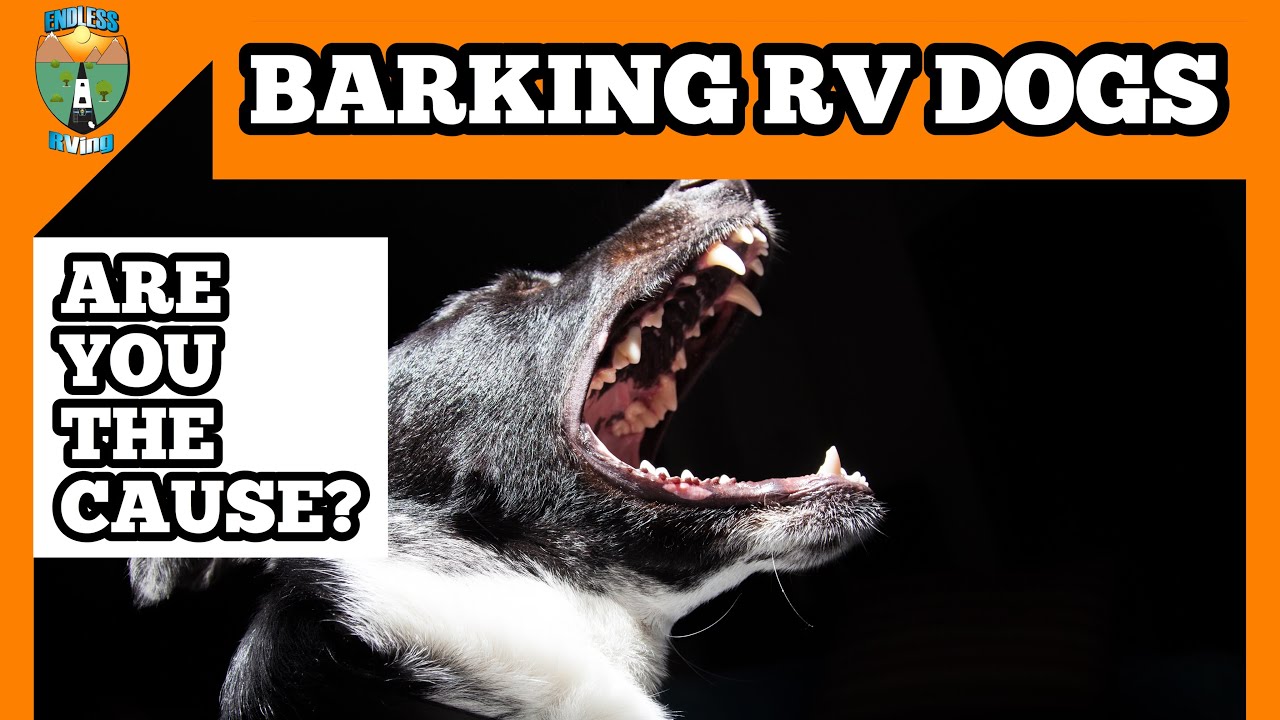 RV BARKING DOGS AND HOW YOU'RE CAUSING IT