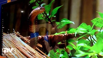 InfoComm 2014: Newline Interactive Shows MultiTouch Display and Interactive Collaboration Software