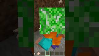 My first night in Minecraft
