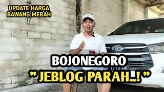 Bojonegoro Jeblog Parah  Update Harga Bawang Merah Bjm Channel