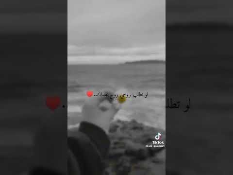 يهون السهر كرمال الحب