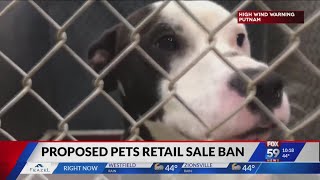 Indianapolis considers ban on retail sales of dogs, cats and rabbits