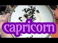 Capricorn holy  you hit the jackpot a very special time  tea leaf reading horoscope asmr