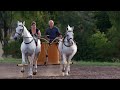 Chariot Warfare and Archery Techniques
