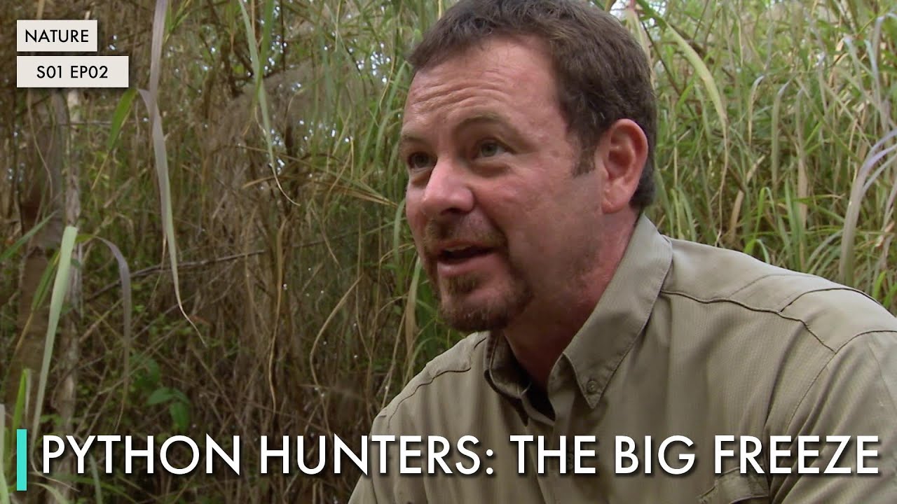 Python Hunters: The Big Freeze - YouTube