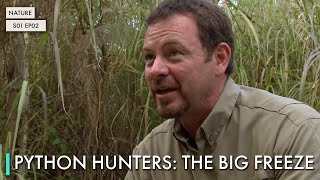 Celebrity Python Hunters: The Big Freeze Wealth