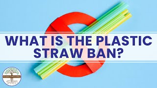 What Is the Plastic Straw Ban? Dynamic Earth Learning Video