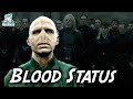 How voldemort became pureblood explained