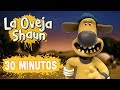 Compilación Temporada 5 (episodios 11-15) - La Oveja Shaun