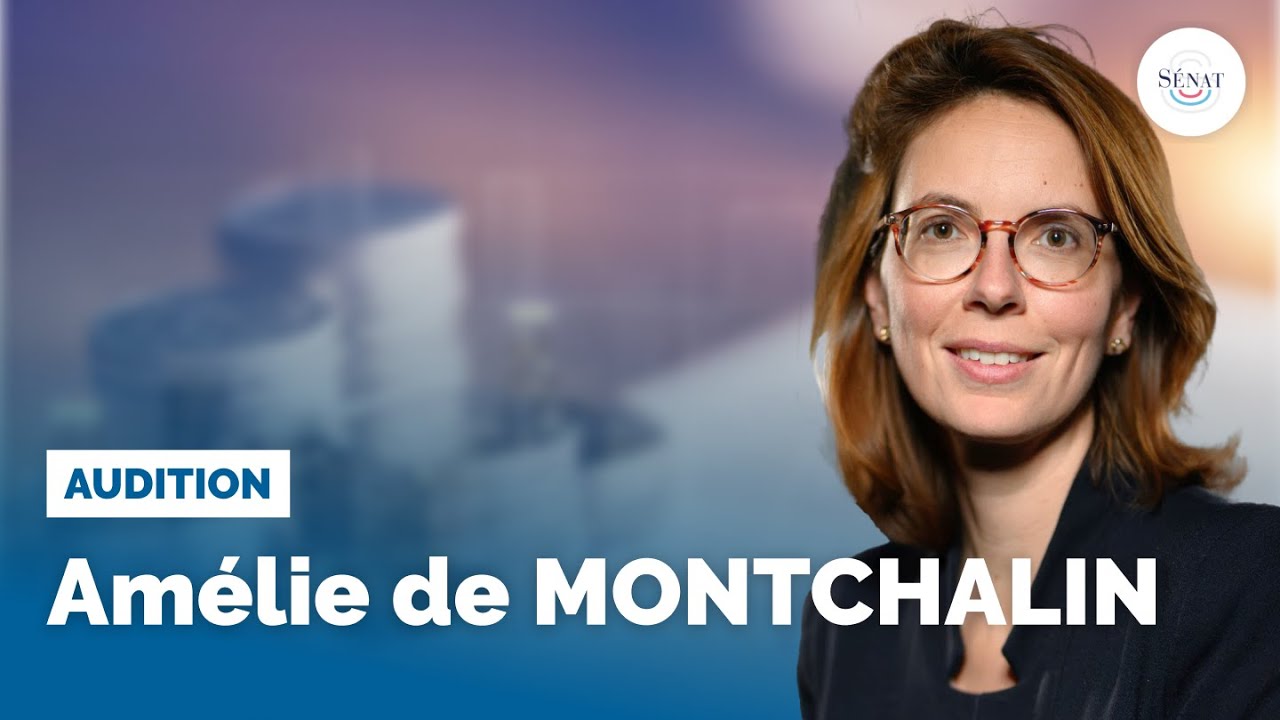 PLFG 2025 : audition d'Amélie de Montchalin