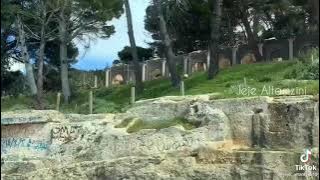 يا وطن غلاك كبير 🇱🇾