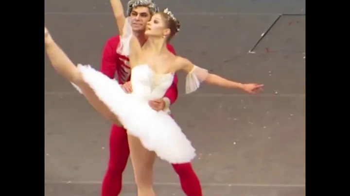 Николай Цискаридзе  заявил, что пример Владимира Путина убедил его пойти учиться.