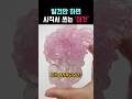 발견만 하면 사표 쓰는 돌멩이