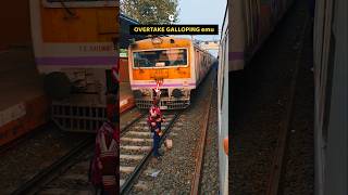 Local Train Overtakes The Old Emu