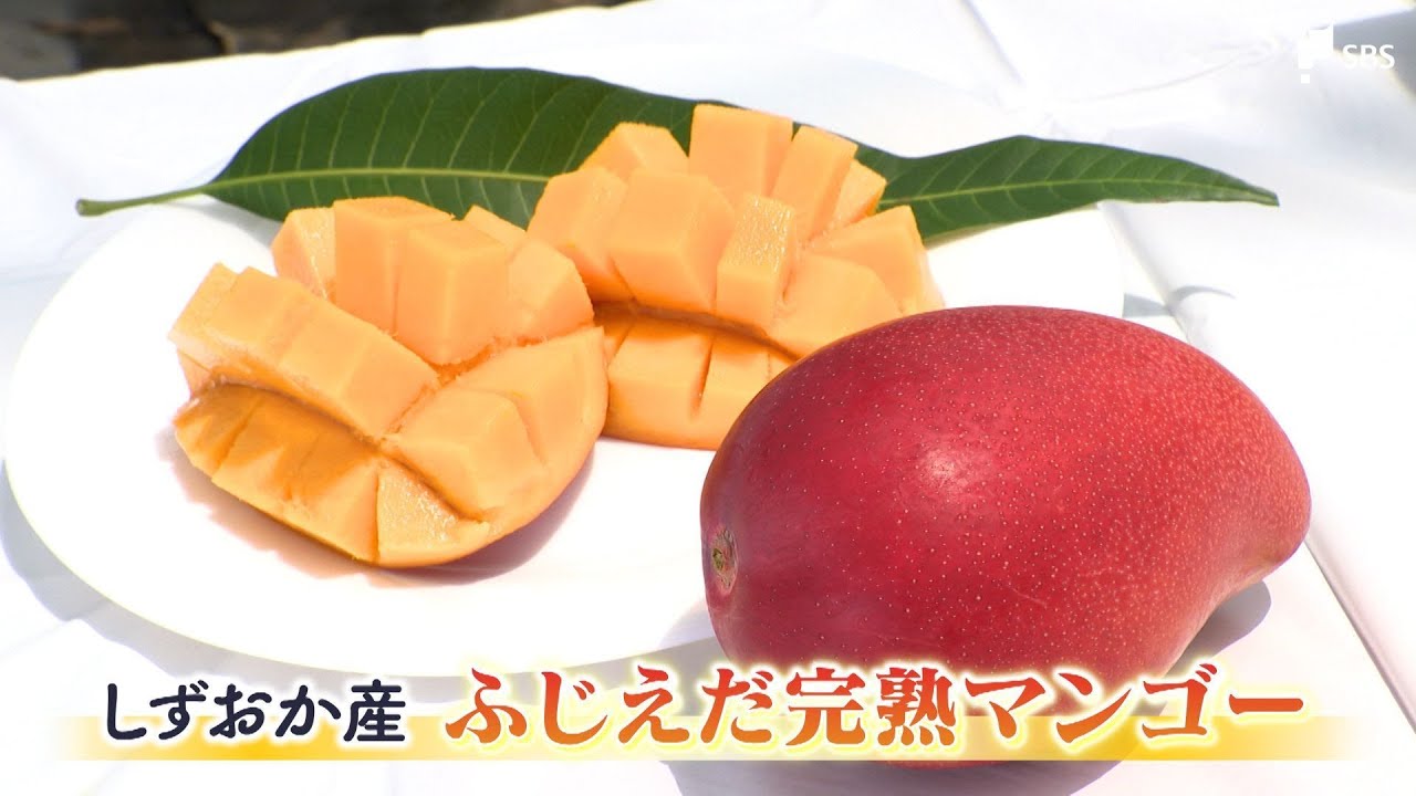 一口目から「幸せ」甘く濃厚 爽やかな酸味 夏の味覚「ふじえだ完熟