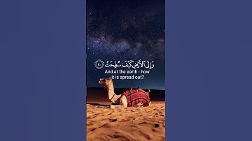 أَفَلَا يَنظُرُونَ إِلَى الْإِبِلِ كَيْفَ خُلِقَتْ♡| سورة الغاشية| القارئ عبد رحمن مسعد