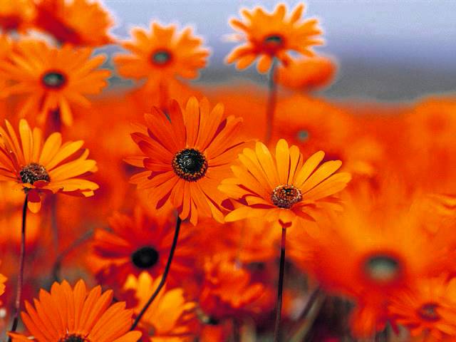 Tere Dil Se Mera Dil Mil Gaya Video Thumbnail